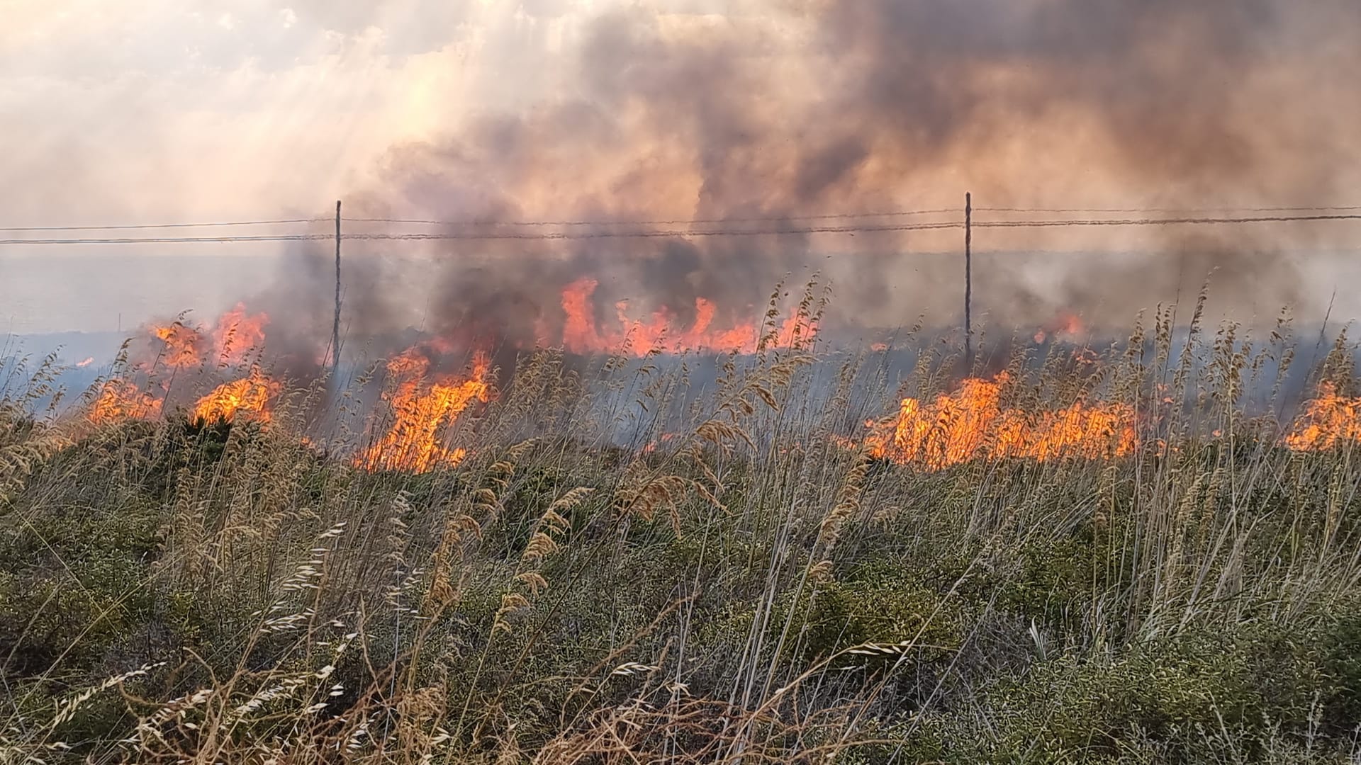 Prevenzione e lotta agli incendi: dal 15 giugno 2024 vietata la combustione agricola controllata