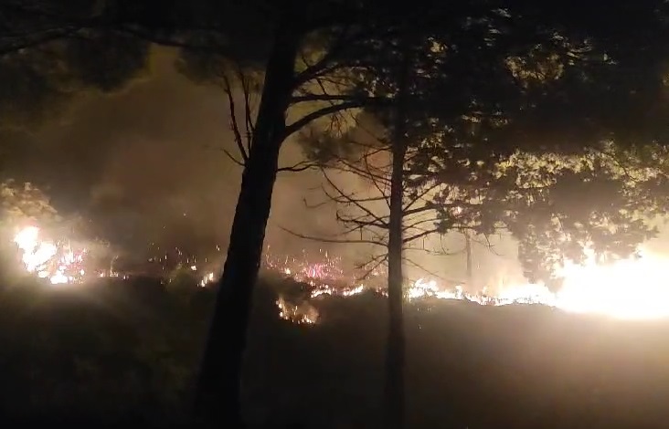 Incendio ad Erice. Dichiarazione della sindaca