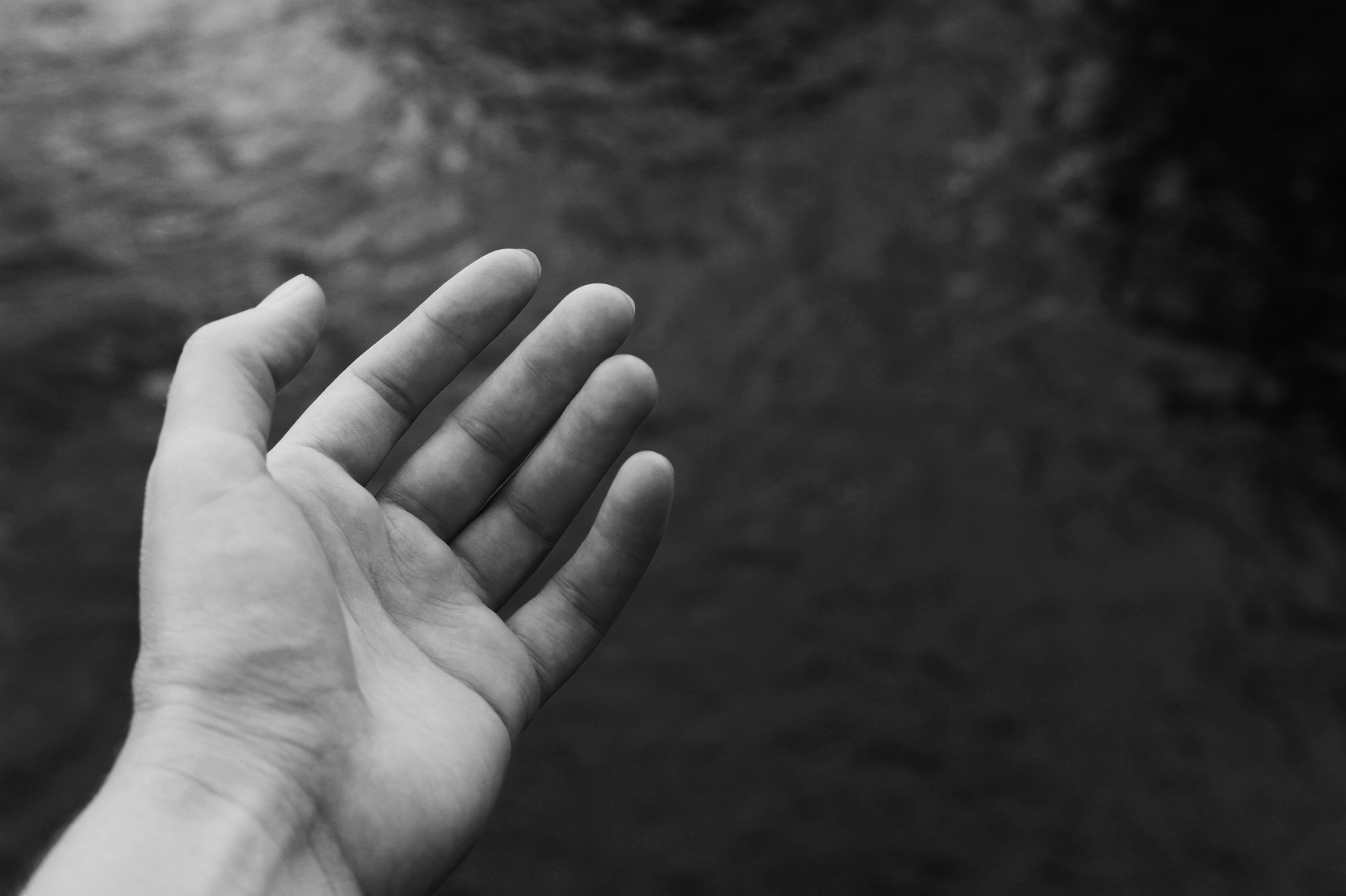 Aziende, associazioni e privati continuano a donare beni e soldi. La sindaca Toscano: «Grazie a nome di chi è in difficoltà»