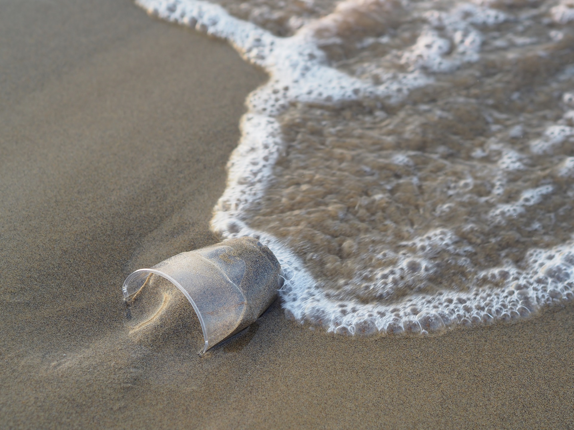 La Giunta approva lo schema di protocollo d’intesa con l’associazione Plastic Free