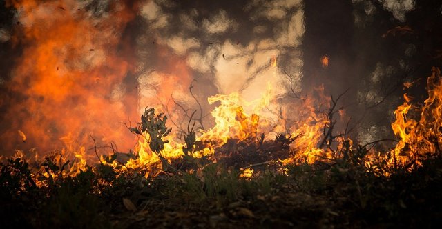 Prorogati i termini per la prevenzione e la lotta agli incendi al 15 maggio 2021