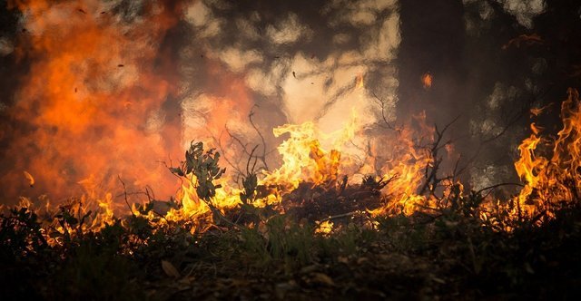 Lotta agli incendi: sollecito pulizia dei terreni entro il 15 maggio 2021