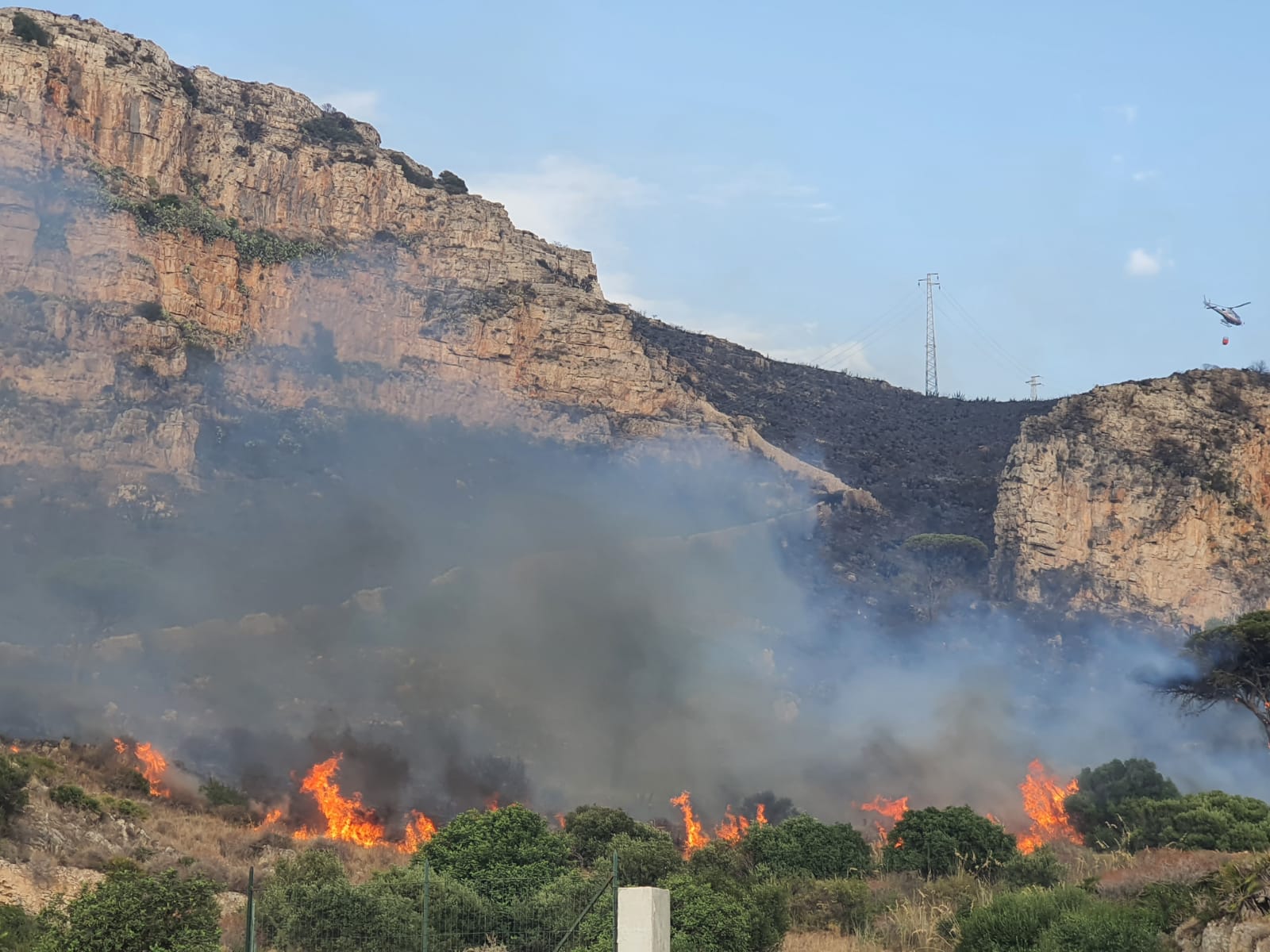 Incendio ad Erice. Sindaca Toscano: “Grazie a chi si è speso per spegnerlo. Ai cittadini dico di segnalare la presenza di eventuali piromani”