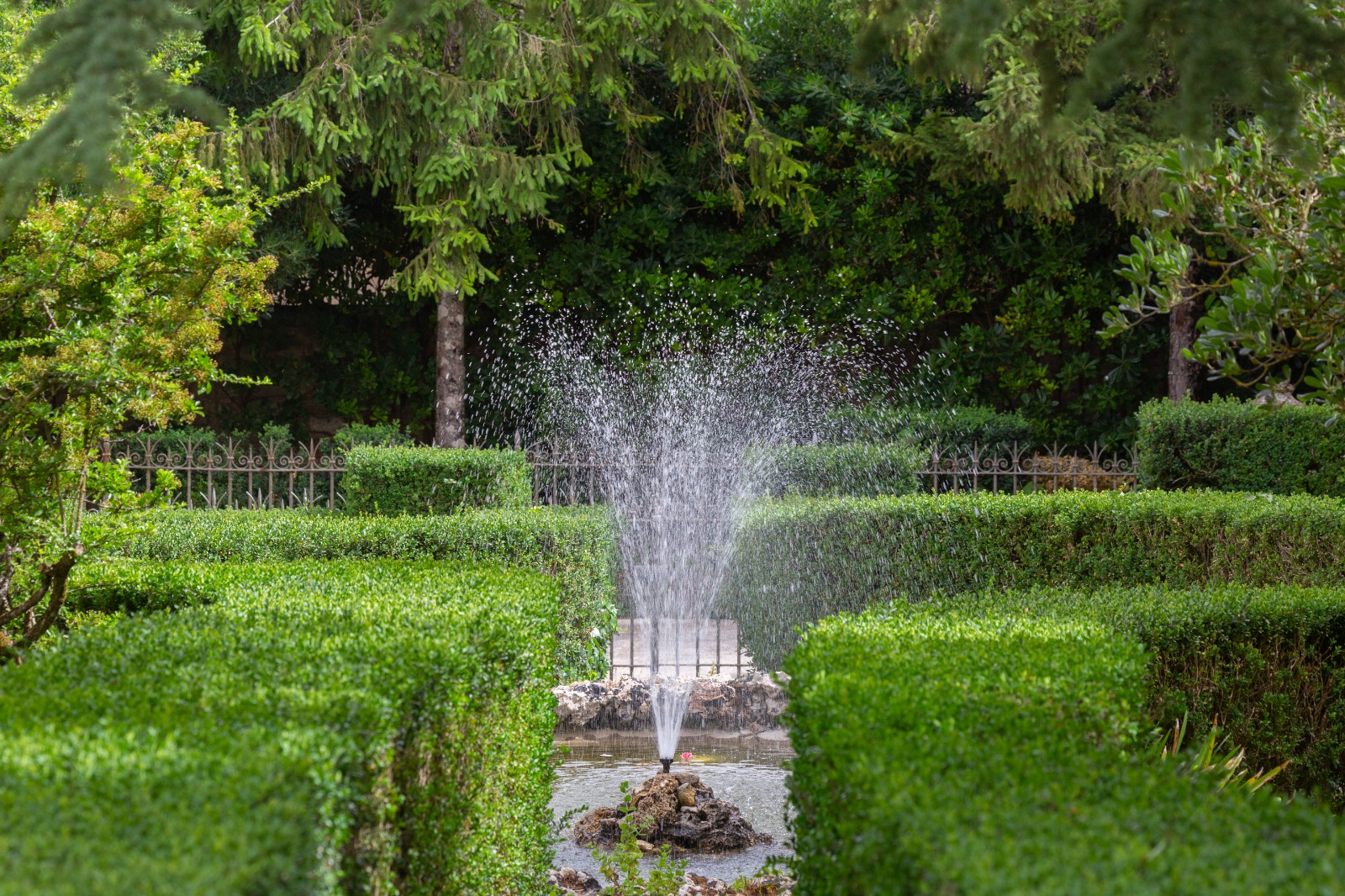 Realizzato servizio fotografico dei Giardini del Balio dal fotografo internazionale Dario Fusaro