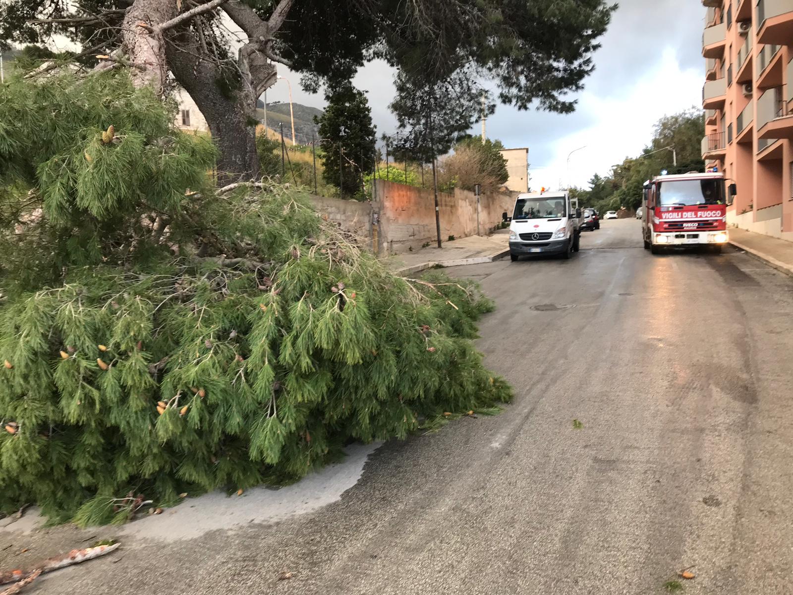 Continua la fase di emergenza: chiusa al transito la via giuseppe clemente, neve ad erice