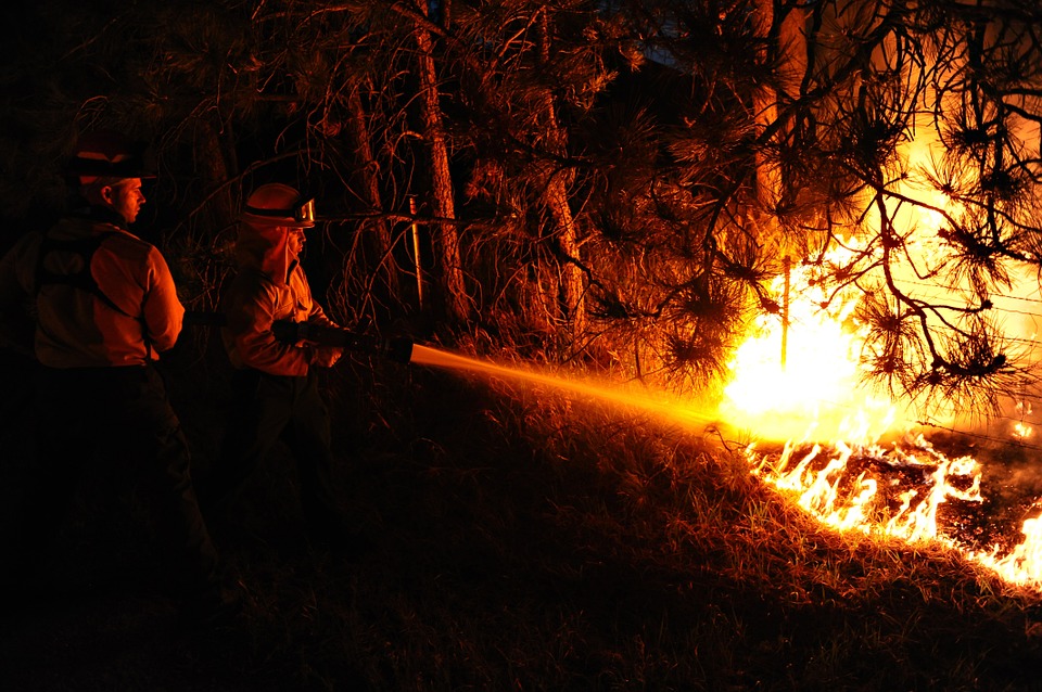 Il Sindaco Daniela Toscano ringrazia l’arma dei Carabinieri ed auspica misure esemplari per gli autori dell’incendio della Montagna di Erice